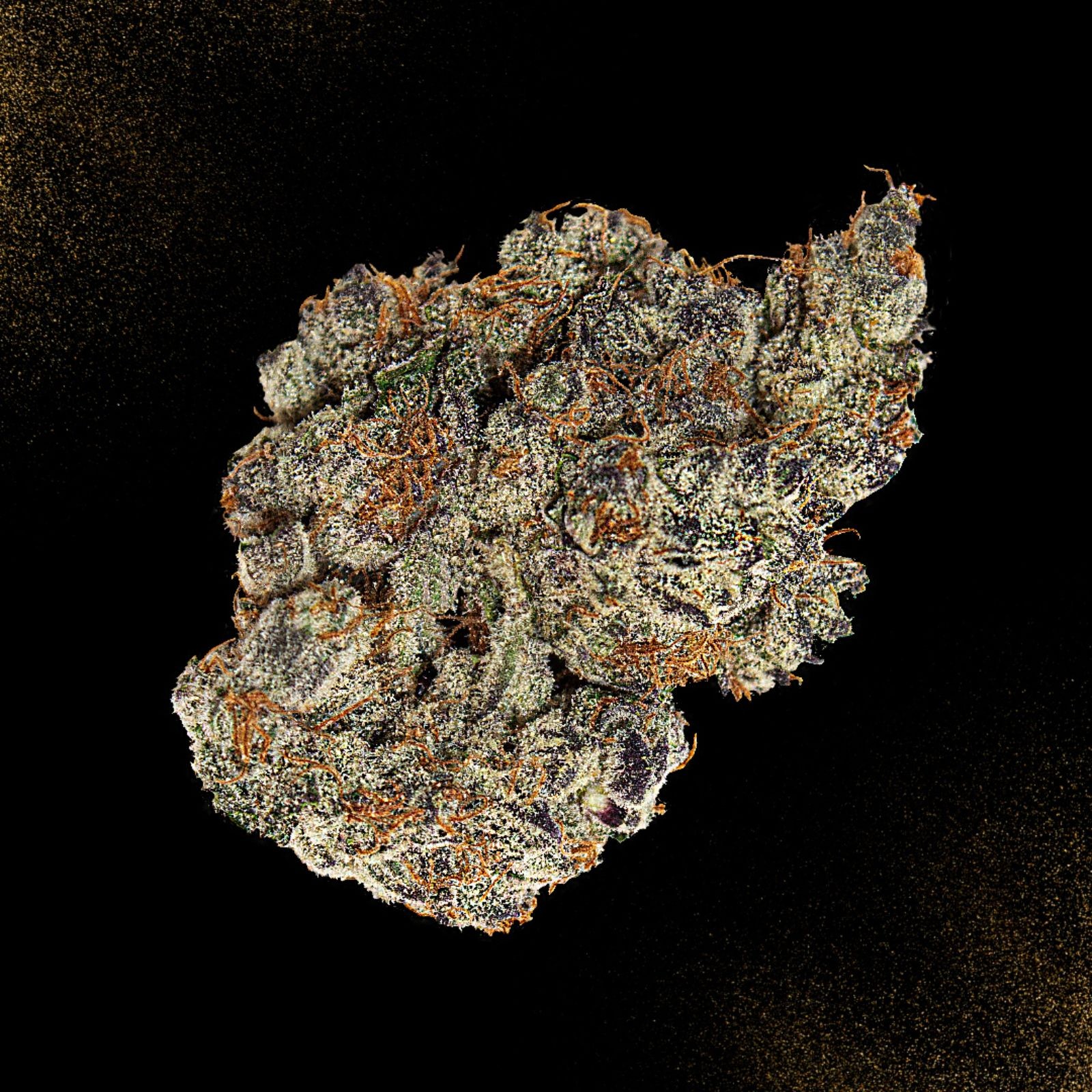 √ Secret Cookies Strain Alvis Twirlwing